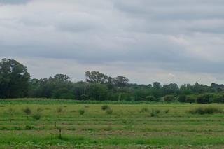 Commercial Property for Sale in Koppies Rural Free State